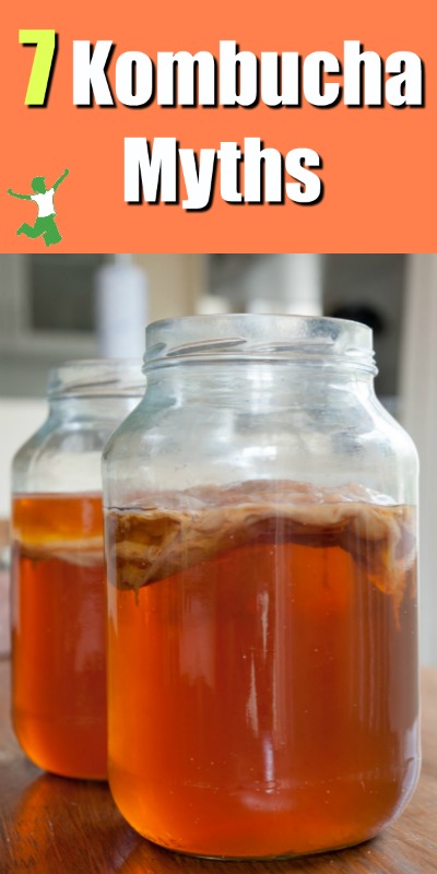 two large glass jars of kombucha with scoby