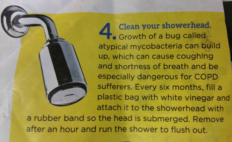 shower head cleaning protocol