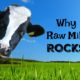 Raw Milk Benefits