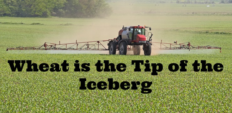 tractor spraying preharvest Roundup on a vegetable field