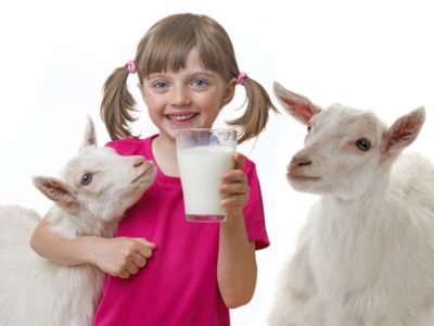 Raw Goat Milk
