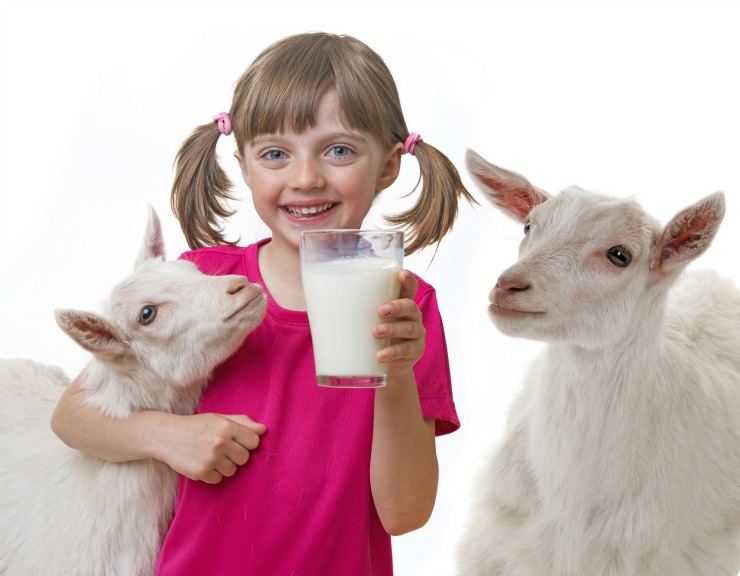 little girl drinking raw goat milk