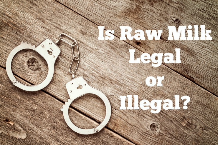 is raw milk legal