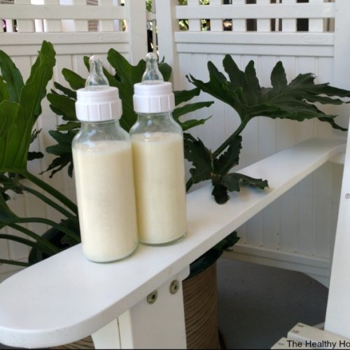 Camel Milk Baby Formula Healthy Home Economist