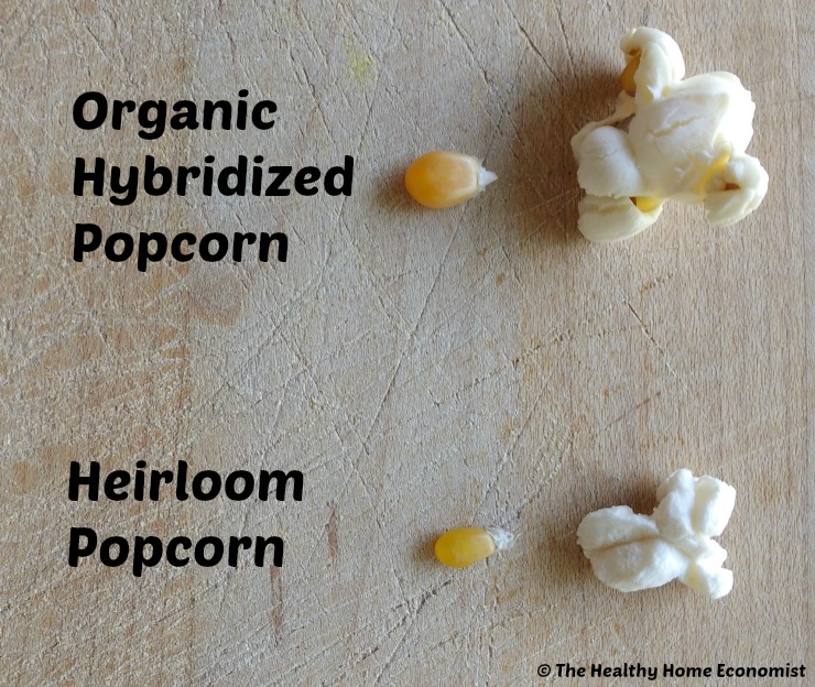 heirloom popcorn and organic popcorn kernel on a cutting board