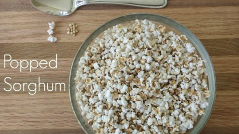 popped sorghum