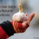 How to Harness the Power of Garlic Medicinally