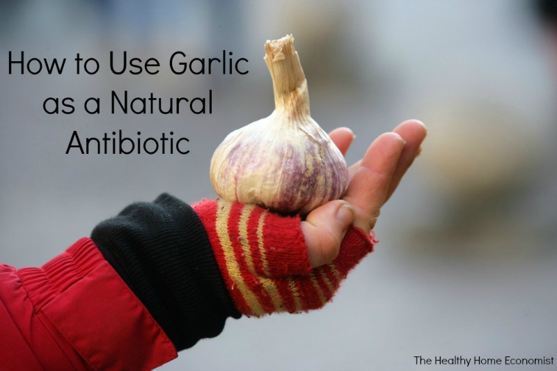 How to Harness the Power of Garlic Medicinally Healthy Home Economist