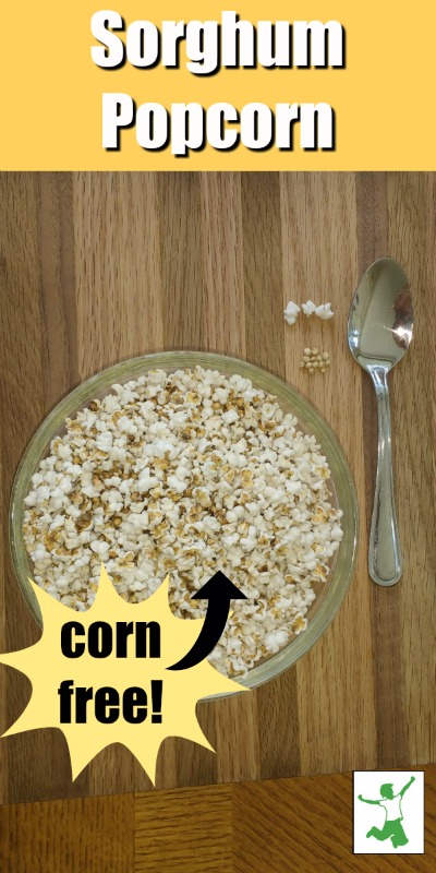 sorghum popcorn in a bowl