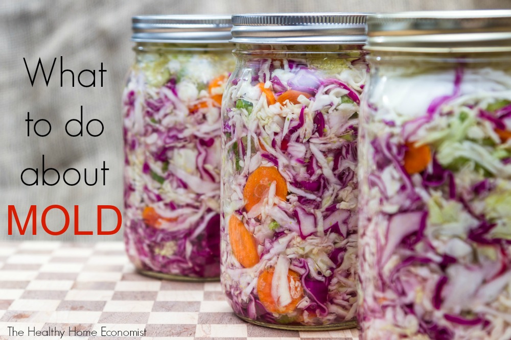 mold in fermenting jars