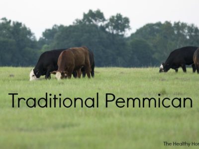 Pemmican: The First Power Bar (+ easy recipe) 2