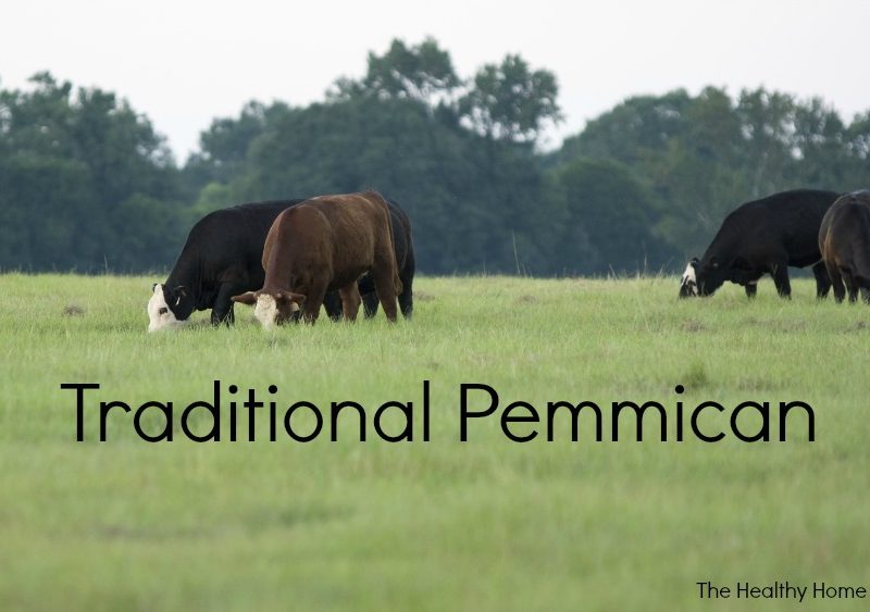 pemmican, pemmican recipe