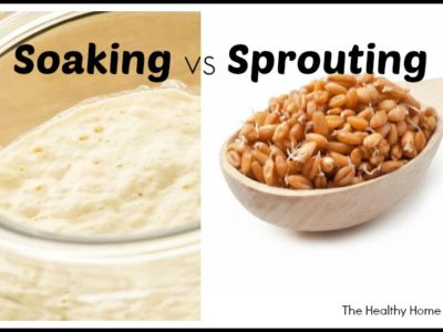 Sprouting versus Soaking or Fermentation for Food Digestibility