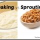 Sprouting versus Soaking or Fermentation for Food Digestibility