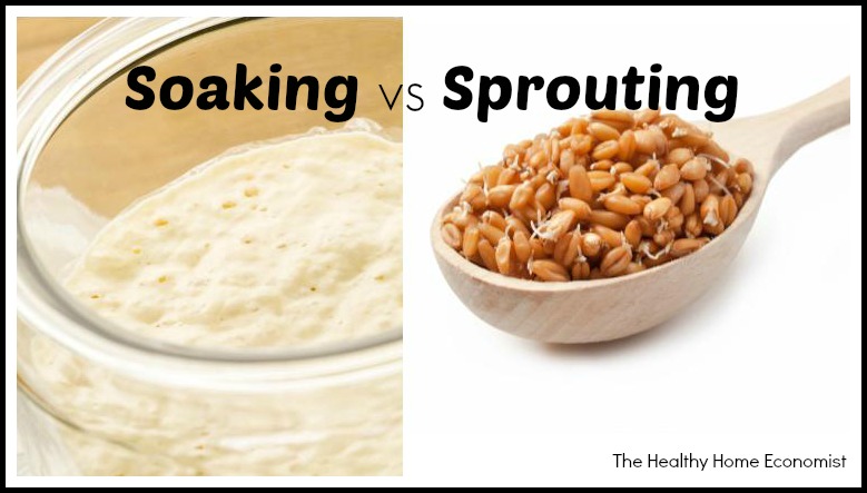 sprouting seeds on a spoon compared with soaked flour