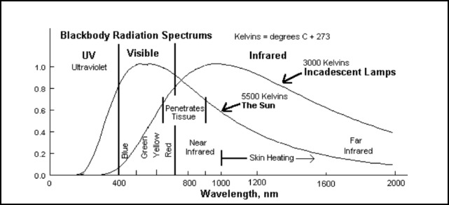 infrared spectrum