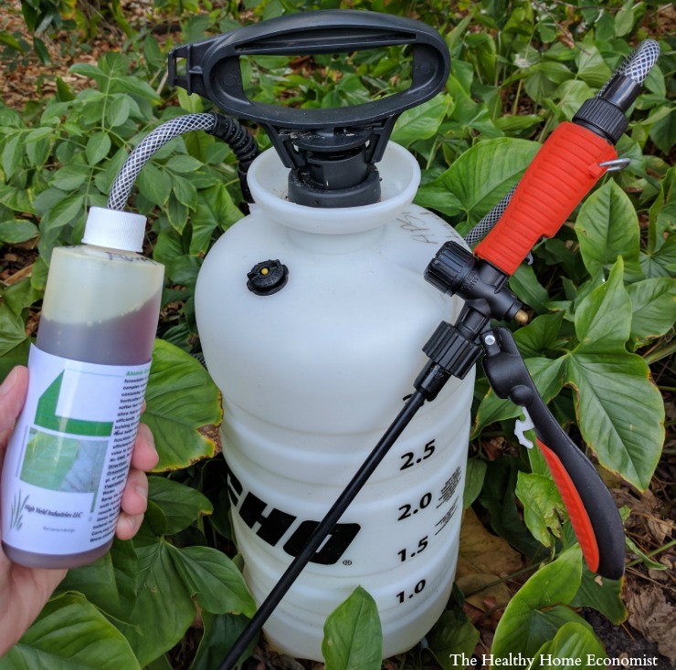 bottle of neem with pump sprayer