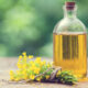 unhealthy bottle of canola oil natural background