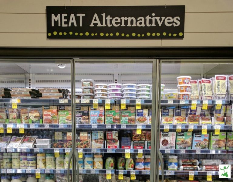 How to Avoid SOY PROTEIN in the Diet Healthy Home Economist