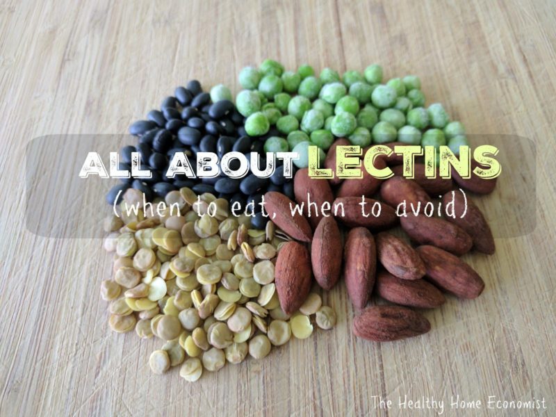 assortment of lectin containing foods