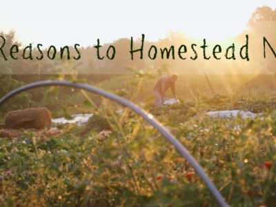 homesteading