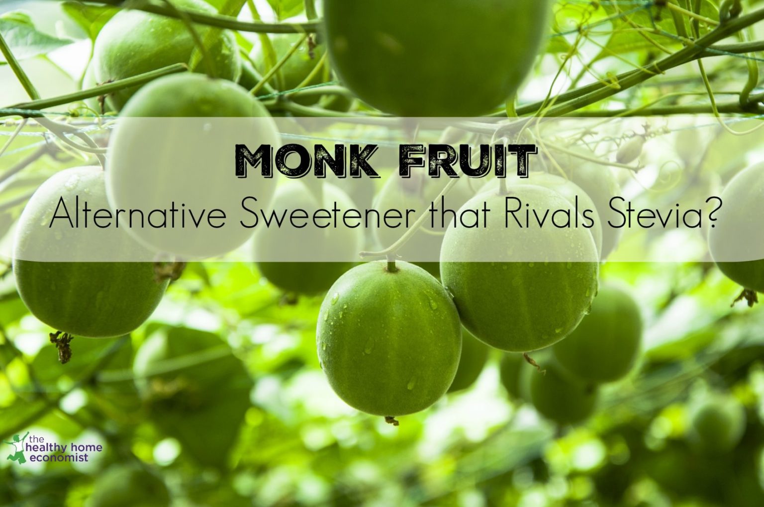 Monk Fruit Alternative Sweetener that Rivals Stevia Healthy Home Economist