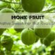 monk fruit
