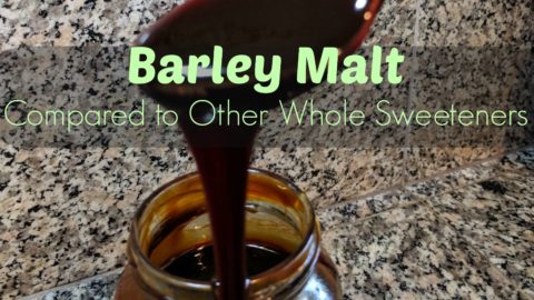 Malted Barley Compared to Other Traditional Sweeteners