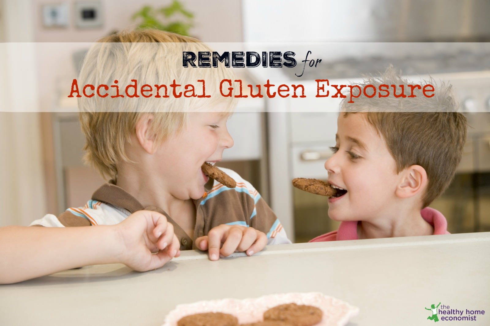 What to Do if You Accidentally Eat Gluten Healthy Home Economist