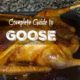 how to roast goose