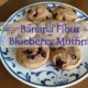 green banana flour blueberry muffins