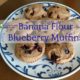 green banana flour blueberry muffins