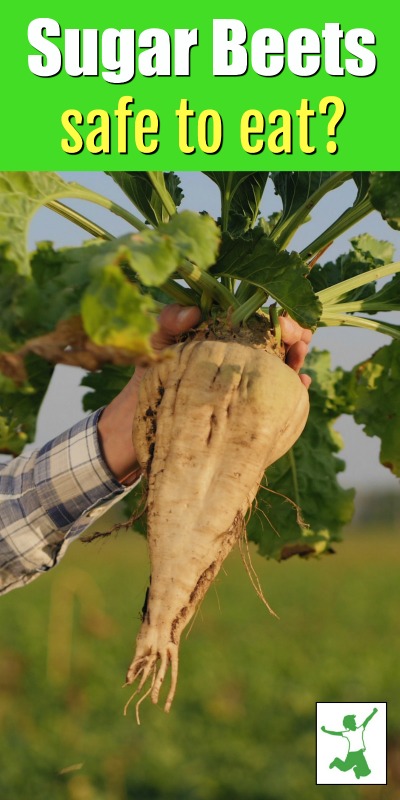 farmer holding a large sugar beet