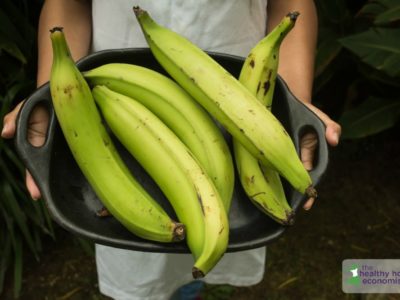 plantain flour