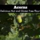 Acorns as Food. How to Gather, Prepare and Enjoy