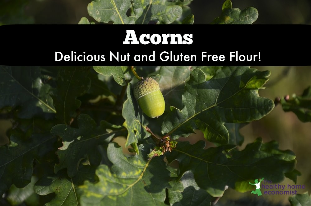 acorn nuts, acorn flour