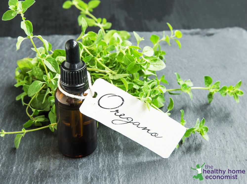 Oregano Oil as Herbal Antibiotic and Antiviral Healthy Home Economist