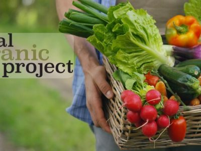 The Real Organic Project
