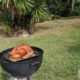 5 Reasons to Charcoal Grill Your Next Turkey 2
