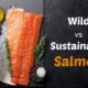 wild vs sustainable salmon