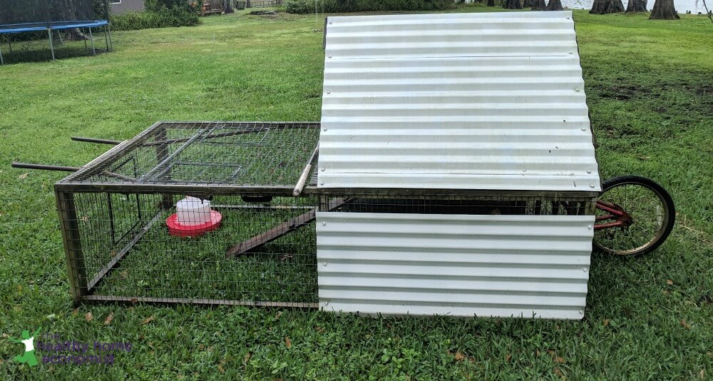 mobile chicken coop on backyard grass