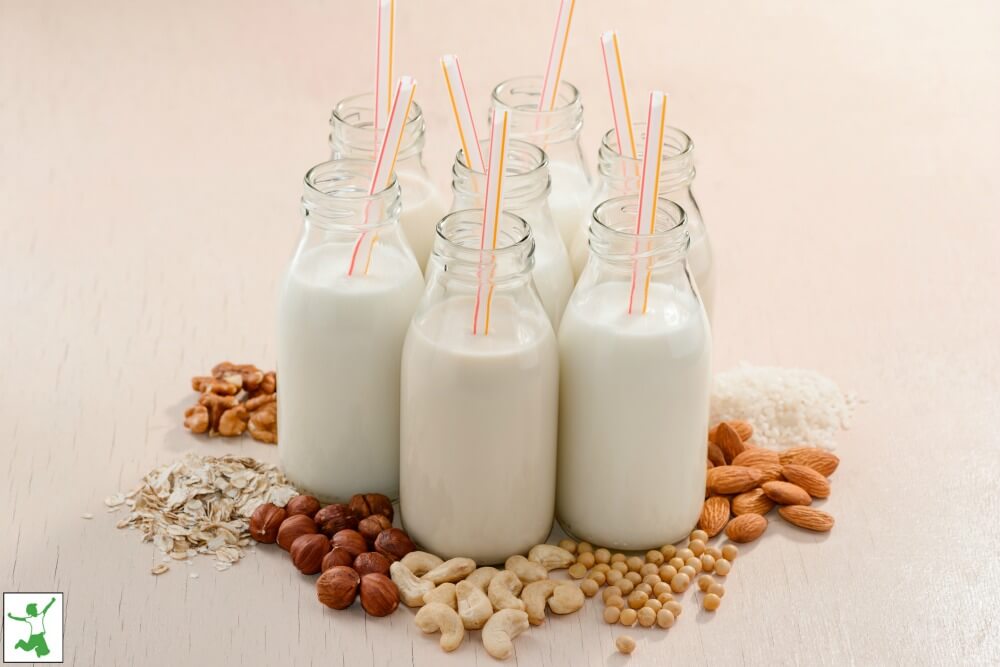 plant based milk in bottles