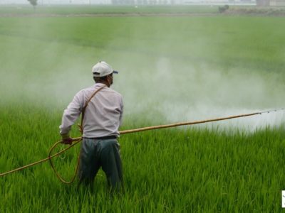 Breaking: Cancer Stricken Couple Wins $2 BILLION in Roundup Lawsuit