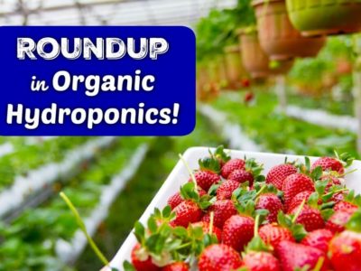 roundup in organics