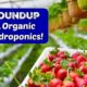 roundup in organics