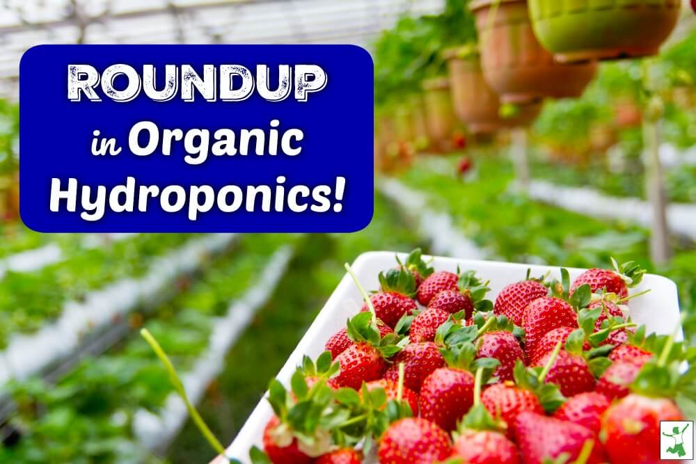 roundup in organics