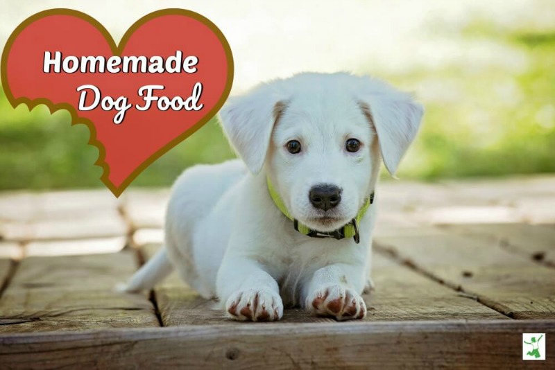 homemade dog food