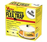 flea trap