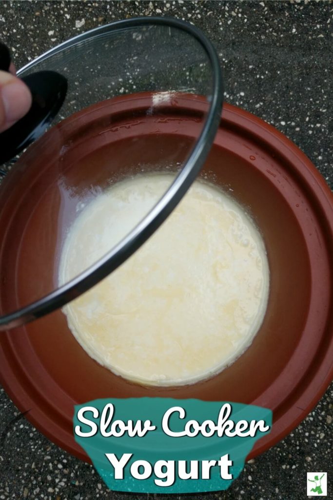 slow cooker yogurt