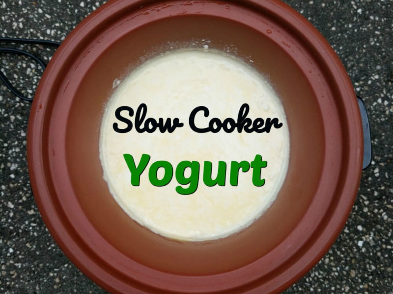 creamy yogurt in a slow cooker